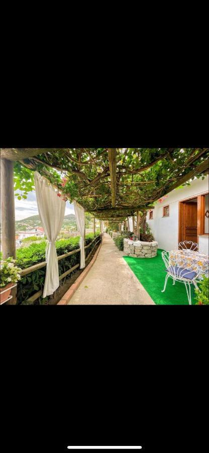 Guesthouse Coralba Casamicciola Terme Bagian luar foto