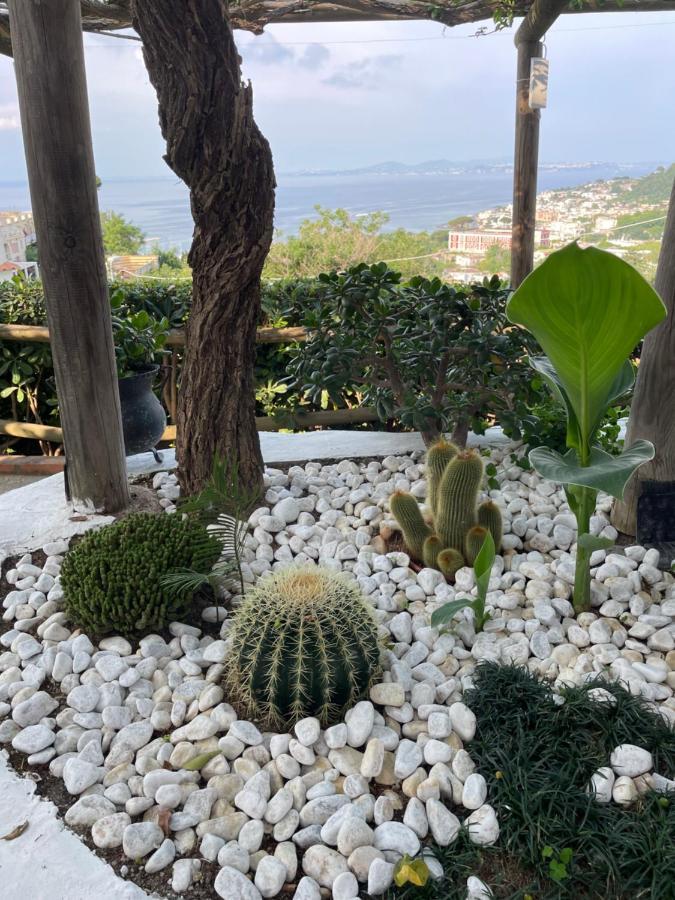 Guesthouse Coralba Casamicciola Terme Bagian luar foto
