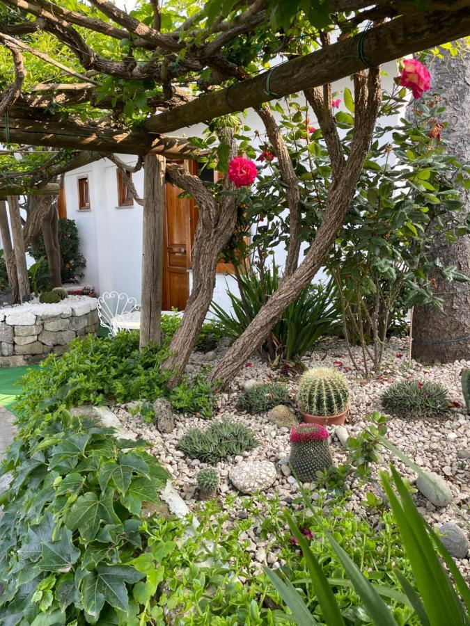 Guesthouse Coralba Casamicciola Terme Bagian luar foto