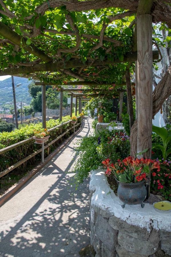 Guesthouse Coralba Casamicciola Terme Bagian luar foto