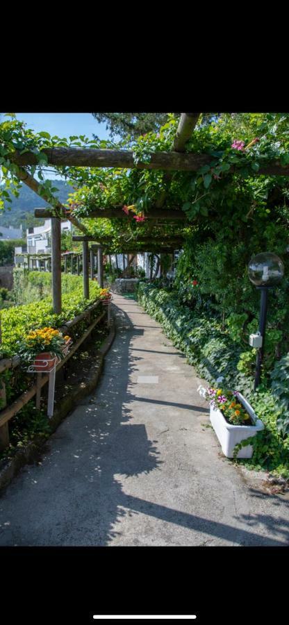 Guesthouse Coralba Casamicciola Terme Bagian luar foto