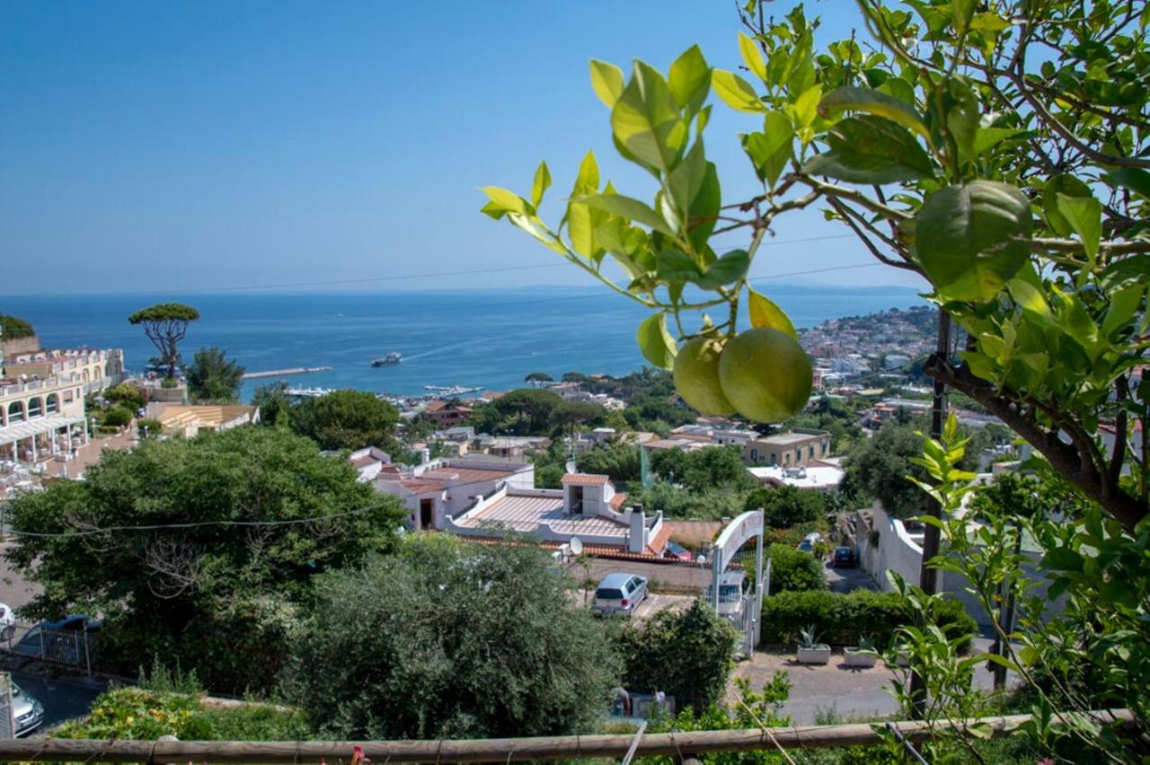 Guesthouse Coralba Casamicciola Terme Bagian luar foto