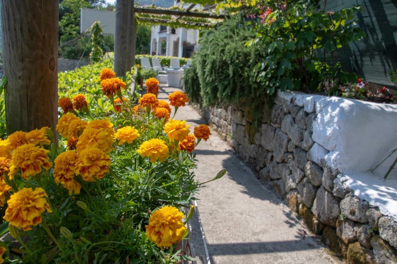 Guesthouse Coralba Casamicciola Terme Bagian luar foto